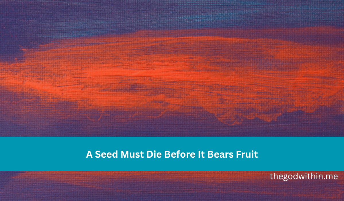A Seed Must Die Before It Bears Fruit